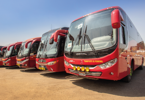 buses